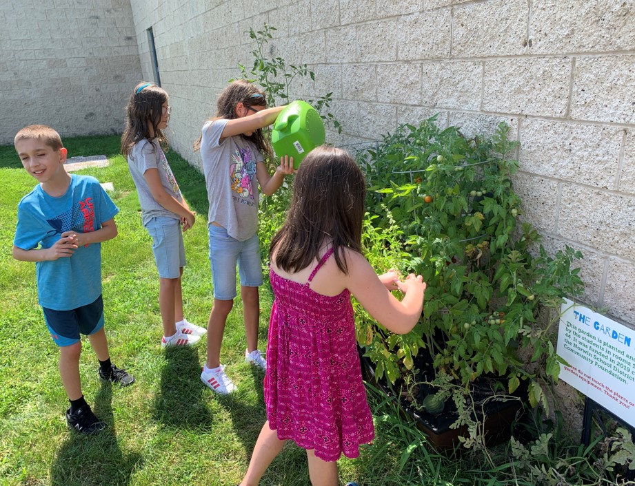 Students in Ms. Rachel Grissom's class at Sheridan Terrace Elementary School participate in The Garden Project, the recipient of a 2019 NSDCF Educator Innovation Grant. The Garden Project offers students direct hands-on learning about the lifecycle of plants and how agriculture helps shape our society.